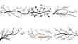 © Perfect PNG - collection of branches isolated on a transparent background, generative ai