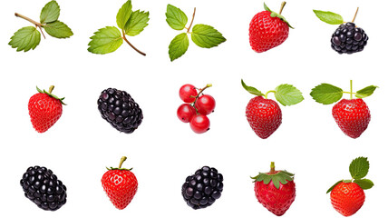Canvas Print - collection of berries with leaves isolated on a transparent background, generative ai