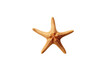 © Tor Gilje - Starfish, Transparent background. generative AI