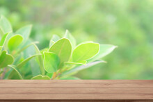 Empty Wooden Table Top Or Counter And Sunlight Blur Bokeh Of Leaves And Trees Nature Background In Green Spring Garden For Template Mock Up And Display Montages Product. Wood Table Plank Background