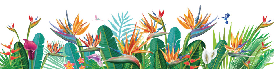 Wall Mural - Banner from Strelitzia flowers and tropical plants