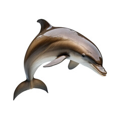 Wall Mural - dolphin swimming isolated on white