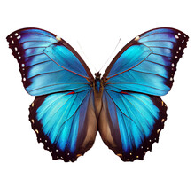 Beautiful Blue Butterfly On A Transparent Background. Generative AI