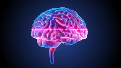 Wall Mural - blue brain spinning in a 3d animation