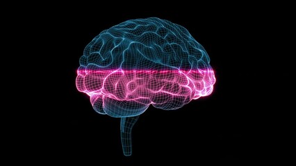 Wall Mural - blue brain grid spinning in black space in a 3d animation