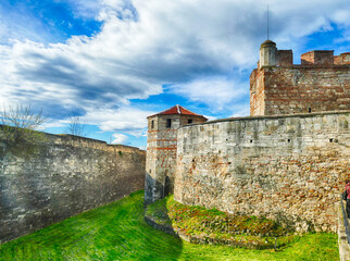 Wall Mural - Massive walls and towers on the Danube River, Baba Vida Fortress