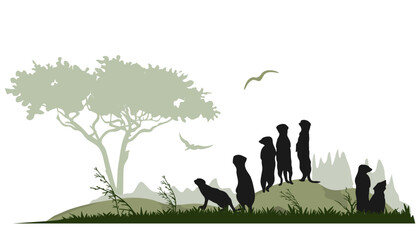 Wall Mural - African savannah landscape with  meerkat silhouettes. Vector illustration.