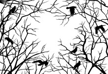 Illustration With Silhouettes Of Crooked Branches And Flying Crows With Copy Space In The Middle On Transparent Background