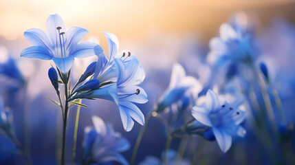 Wall Mural - Bright wildflowers with a beautiful blurred background.