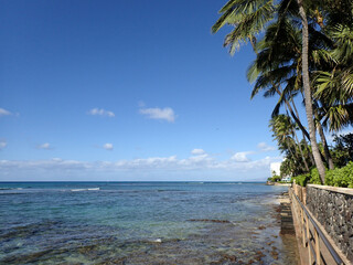 Wall Mural - A Scenic Walk Along Makalei Beach in Oahu