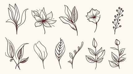 Poster - Botanical arts. Hand drawn continuous line drawing