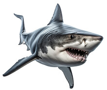 Shark Isolated On The Transparent Background PNG. AI Generative.