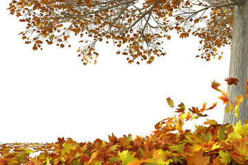 a frame made of autumn leaves and maple tree in red and orange colors