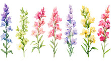 A Collection Of Soft Watercolor Snapdragons Flowers Isolated On A Transparent Background, Generative Ai