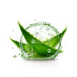 © Helen-HD - The original composition is of aloe leaves and healing moisture on a white background. A pure, juicy gift of nature to humanity. Gel texture Aloe Vera cosmetic with bubbles. Generative AI