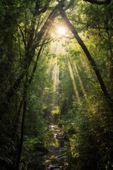 Sticker - sunlight streaming through dense tree canopy, created with generative ai