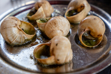 Wall Mural - Escargot served in a plate