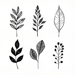 Wall Mural - Serene impressions: celebrating the tranquility of black and white botanicals