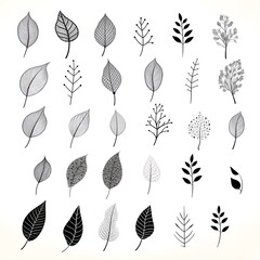 Wall Mural - Graceful monochrome: illustrating black and white botanical leaves