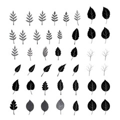 Wall Mural - Monochromatic sketches: exploring the beauty of foliage in grayscale