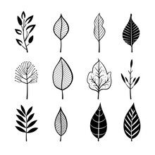 Tranquil Compositions: Hand-drawn Art Inspired By Black And White Foliage