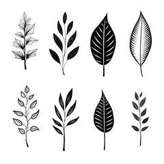 Poster - Monochrome botanicals: hand-drawn monochromatic foliage art
