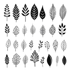 Wall Mural - Branches of simplicity: exploring the beauty of black and white leaves
