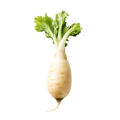 front view of daikon radish vegetable isolated on transparent white background