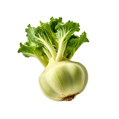 Wall Mural - front view of Kohlrabi vegetable isolated on transparent white background