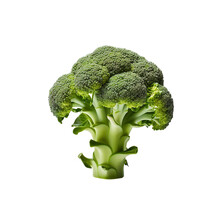 Front View Of Broccoli Vegetable Isolated On Transparent White Background