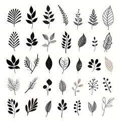 Wall Mural - Serene impressions: celebrating the tranquility of black and white foliage