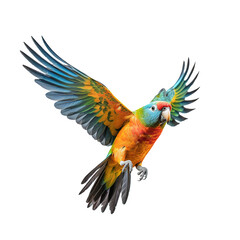 Wall Mural - Flying parrot isolated