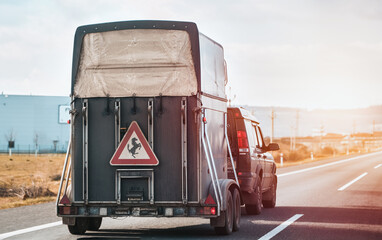 Car with a horse trailer on the road in Europe. Horse transport on the motorway.