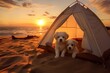 Cute puppies camping outdoors near the beach at sunrise