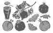Pomegranate glyph icons set vector illustration. Stamp of whole garnet and glass with juice, pomegranate tree branch with flowers, leaves and fruit, quarter slices with seeds and half of grenadine