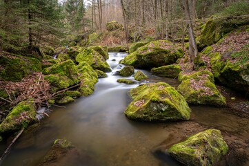 Sticker - Tranquil landscape featuring a lush green forest with a majestic waterfall cascading over the rocks