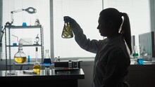 A Female Scientist Holds An Erlenmeyer Flask With A Plant Inside And Examines It. Dark Silhouette Of A Scientist With A Flask In His Hands In The Laboratory Close Up. Scientific Experiment.
