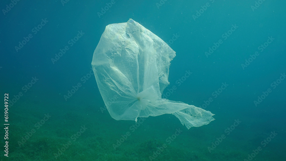 Old plastic bag drifting in water column over seagrass meadow. Plastic ...
