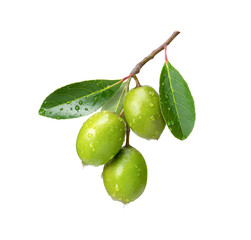 Poster - green olives isolated on white