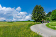 Radfahren im Urlaub im Allgäu nähe der Burgruine Hohenfreyberg, Zell, Eisenberg: Gruppe von Senioren auf E-Bikes und normalen Fahrrädern