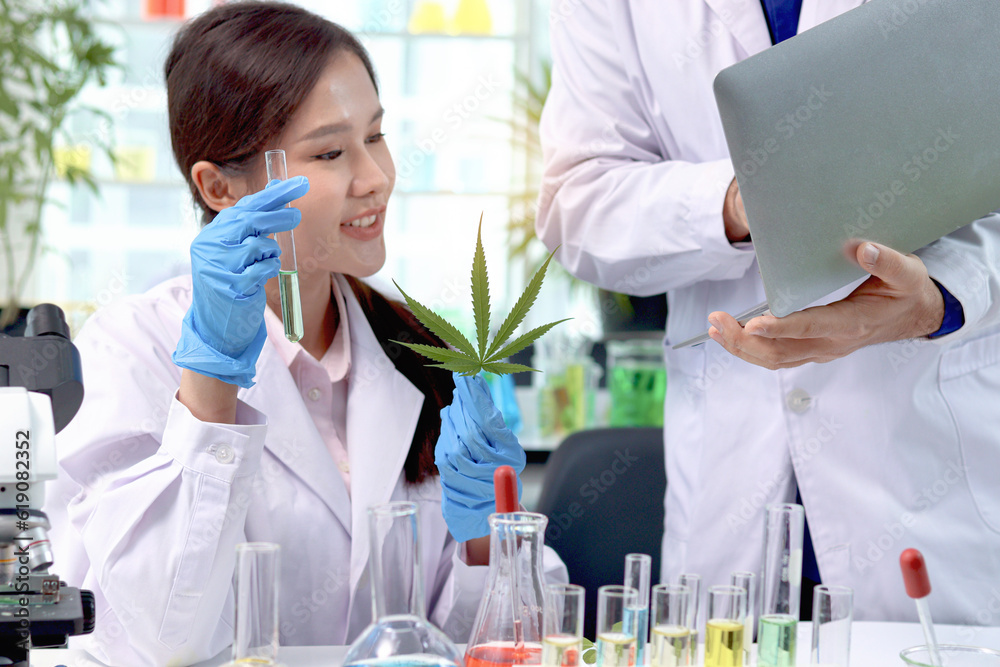 Computer Ganja Beautiful Asian scientist woman do experiment with marijuana hemp leaf ...
