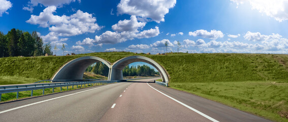 ecoduct over road. automobile route. ecoduct view from road. expressway. ecoduct in sunny weather. a