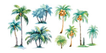 Watercolor Coconut Tree Clipart For Graphic Resources