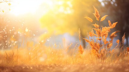 Wall Mural - art autumn sunny nature background