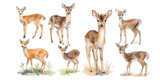 Fototapeta Fototapety na ścianę do pokoju dziecięcego - watercolor baby deer clipart for graphic resources