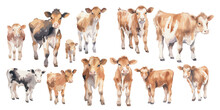Watercolor Baby Cow Clipart For Graphic Resources