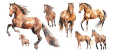 Watercolor Brown Horse Clipart For Graphic Resources