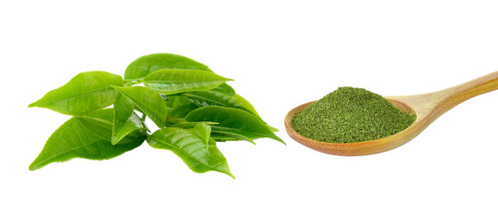 Wall Mural - tea leaf and dry green tea isolated on transparent png
