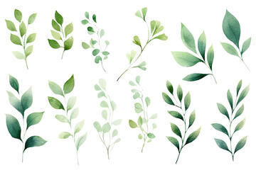 watercolor of tropical spring floral green leaves and flowers elements isolated on transparent png b