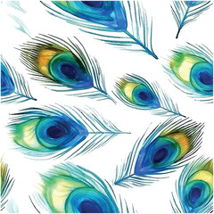Wall Mural - Beautiful pattern art illustration with colorful peacock feathers watercolor blue background.